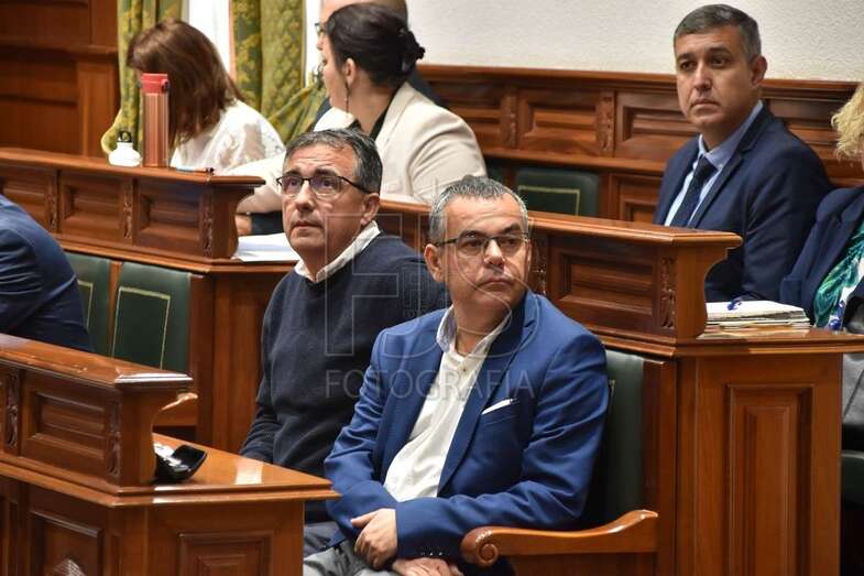 El concejal de Parques y Jardines, Álvaro Monzón, en el Pleno de este jueves (Foto Francisco Javier Santana)